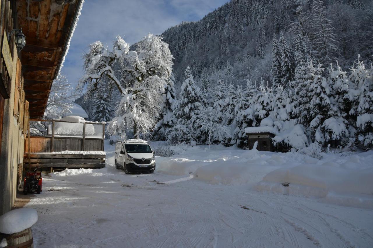 Appartement Dans Chalet 5 Chambres 130 M2 Centre Village Montriond Exterior photo